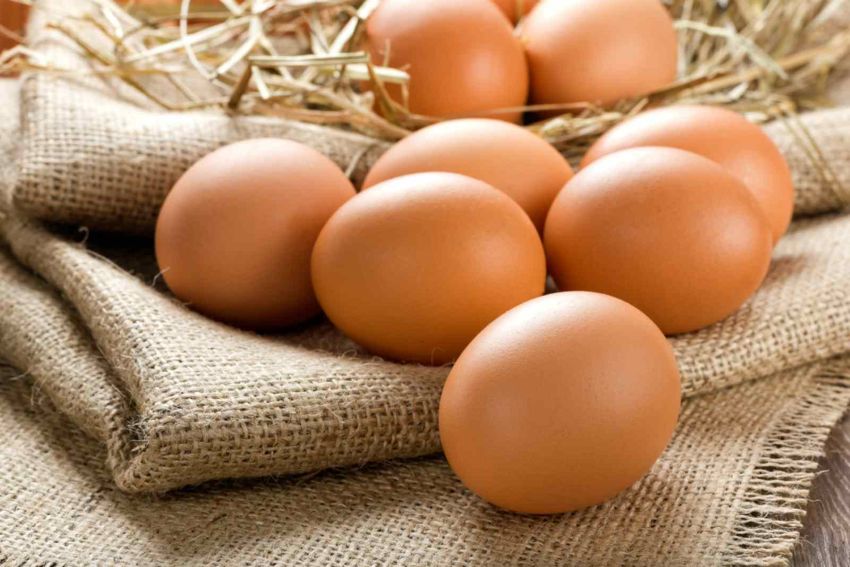 Cách xử lý và bảo quản trứng từ đàn gia cầm tại nhà một cách an toàn