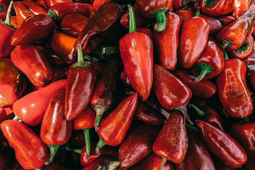 lợi ích sức khỏe của ớt